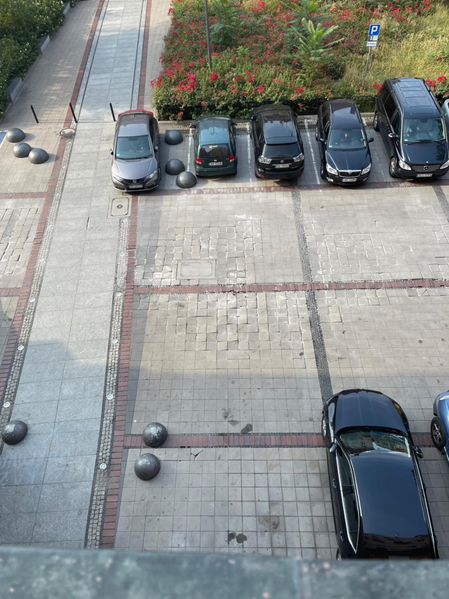 Apartament Rynek Pod Fredra Wrocław Zewnętrze zdjęcie
